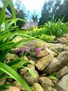 Apartamento Willa G�ralka
