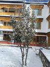 Hostal Rock Castle Residency