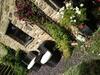 Bed & Breakfast Stoney End