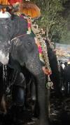 Chamayam Holiday Villa