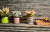 Bed & Breakfast Woodvista Stay Talai