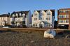 Camelia Hotel