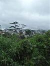Apartamento Nh� C?a S�c