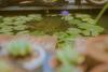 Hostal G? Th�ng Homestay