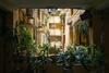 Apartamento Lotushomestayhanoi - Wood & White