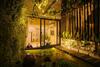 Apartamento Lotushomestayhanoi - Oasis View 1