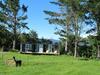 Hostal Waihi Gold Alpacas 3 Or 4 People