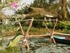 Thach Thao Homestay
