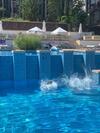 Apartamento St Marina Sozopol - Tiny Bijou Sea View Studio