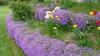 Bed & Breakfast Les Aubretias