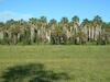 Camping Le Montourey � Fr�jus 83600