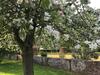 Ch�teau Folies - Escapade Nature G�te 120m2 - 5 Couchages