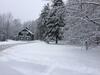 Bed & Breakfast The Birch Grove
