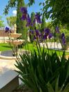 Bed & Breakfast Villa Agrippa