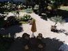 Bed & Breakfast Les Hortensias - Chambres D'h�tes