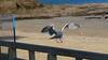 Bed & Breakfast Casa Luz - Chambre D'h�tes - Saint Lunaire