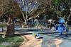 Sydney Inner City Sanctuary- 2 Bedroom Apartment