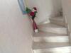 Hostal Paradis