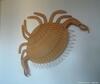 Apartamento Cap Houses Fleur de Mer