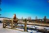 Modern Winter Park Home Less Than 5 Mi To Ski Slopes!