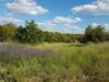 Herdade Do Zambujeiro - Sun And Fun