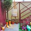 Hostal Vila Raelma