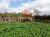 Av� Lucindinha House - Porto Moniz