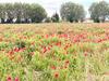 Ma Villa Proven�ale 2 Options Location