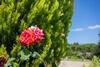 Liiiving In Caminha | Countryside Pool House