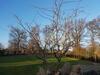 Apartamentos Appartement Lohe