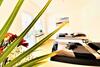 4 Zimmer Apartment Mit Balkon