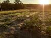 G�te La M�tairie Basse