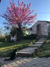 Bed & Breakfast Le Bouyssou