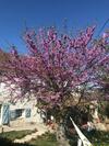 Bed & Breakfast Le Bouyssou