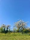Bed & Breakfast Le Bouyssou