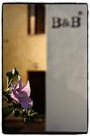 B&B Nascondino