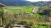 Bed & Breakfast C� D' Fefi