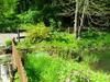 Ferienhaus H�llenm�hle