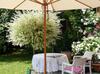 Apartamentos 4 Star Holiday House R�sslewiese
