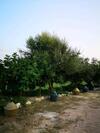 Su Cuile Historical Country House With Barbecue