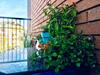 Peony Apartment, Bi-locale A Due Passi Dal Centro Di Modena