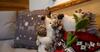 Apartment Scurci� 41