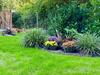 Apartamento Vogelnest-ruhe Und Natur In Ostseen�he