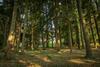 Le Clos D'abrigeon