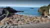 Apartamento L'etape, 2ch, 250m Gde Plage, Tt � Pieds, Parking Couvert