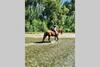 New Ranch Club Bungalow 2, 3 Min Del Mar