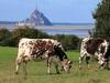 Bed & Breakfast Chambres D'h�tes Les Vieilles Digues
