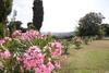 Apartamento Podere Urlari