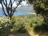 R�sidence Alba Rossa, Serra-di-ferro, Accommodation With Terrace Or Balcony