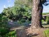 R�sidence Alba Rossa, Serra-di-ferro, Accommodation With Terrace Or Balcony